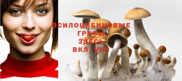 a pvp Переславль-Залесский